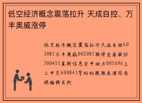 低空经济概念震荡拉升 天成自控、万丰奥威涨停